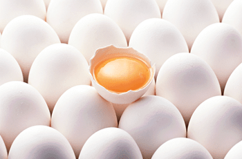 薄毛に効く 食べ物 卵